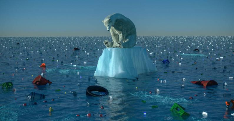 Polarbear polution climate change
