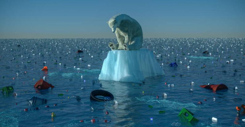 Polarbear polution climate change